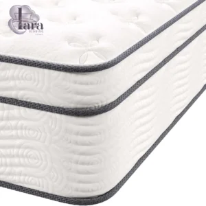 Modway Jenna Spring and Memory Foam Mattress